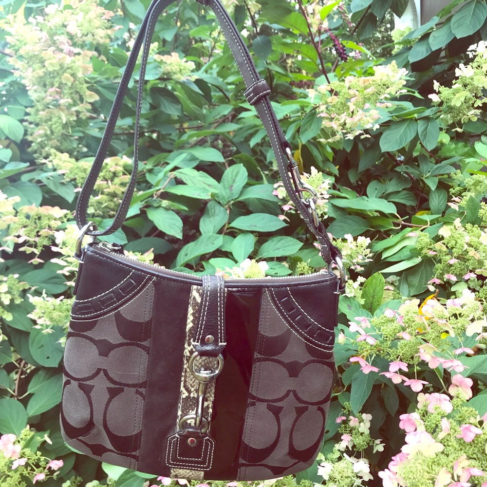 Coach Hampton Signature Canvas Python Crossbody - image 1